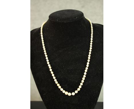 A cultured pearl and diamond necklace. The graduated row of 6.87mm-3.16mm cultured pearls to an old brilliant and single-cut 