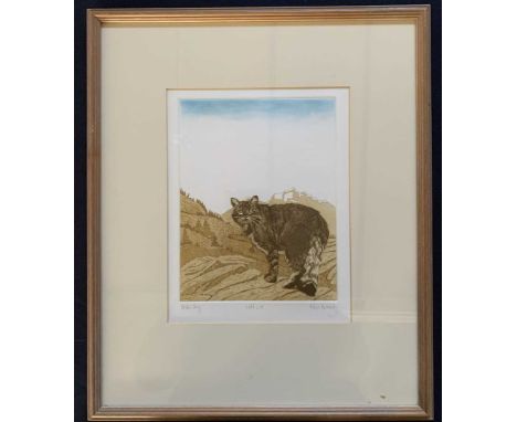 Ailsa Kennedy (British, 20th century) 'Wild Cat', coloured etching, artist's proof, signed, mounted, framed and glazed.