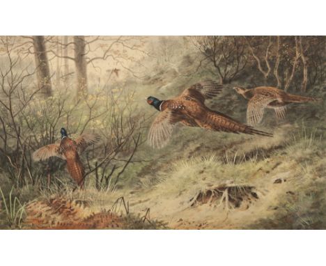 HERBERT DICKSEE ETCHING  'Dandie Pup' Initialled and dated 1927 in the plate Signed in pencil, labelled verso  9 3/4" x 13 3/