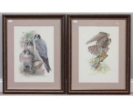 After James Alder, studies of birds of prey, a pair of colour prints, signed in pencil, 48x34cm 