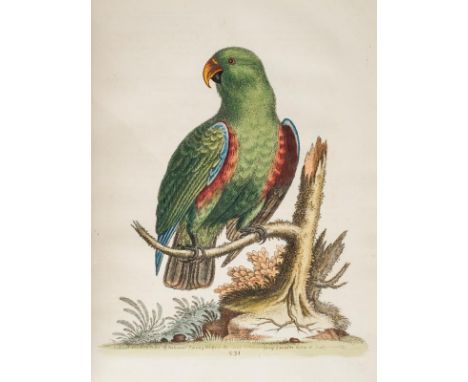 Edwards (George). Gleanings of Natural History, exhibiting figures of Quadrupeds, Birds, Insects, Plants &c..., printed for t