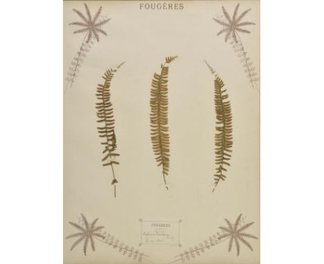 *Botanical specimens. 'Fougeres', Dried botanical specimens, published Damour-Girard, Lyon, circa 1890, together six large sh