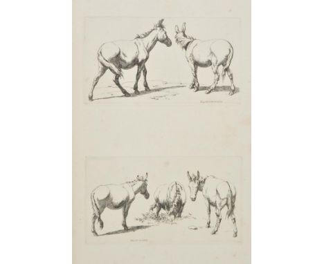 Hills (Robert). Etchings of Asses and Mules, R. Hills, 1808, 98 etchings on 56 plates, some light marginal dust-soiling and s