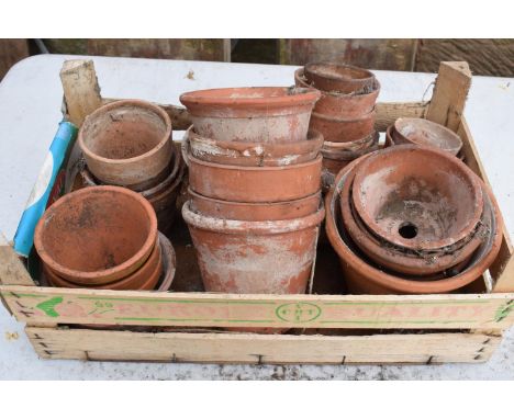 A collection of antiques and vintage terracotta plant pots. 20+. NO POSTAGE. 