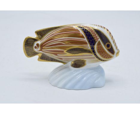 Royal Crown Derby figure in the form of a Sweetlips from the Tropical Fish series. First quality. 8cm tall. In good condition