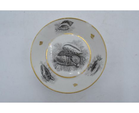 A 19th century small pottery bowl with 'BFB' to reverse for Barr, Flight and Barr, Worcester depicting shell decorations. 13c
