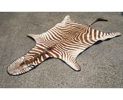 Taxidermy - Zebra skin rug, including mask, leather backed, head to tail 280cm, L155cmPOA  https://www.bradleys.ltd/quotation