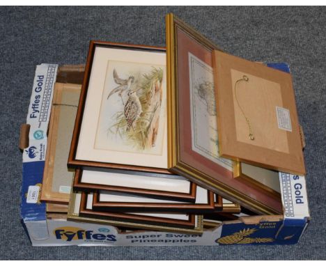 After W Foster and various artists, ''Pterocles Lichtensteini'', print;  seven further studies of birds; prints by F Waller; 