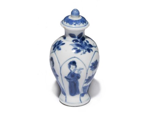 A small Chinese blue and white baluster vase, Kangxi (1662-1722), decorated with lange lijzen, trees in jardinieres and bloss