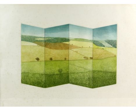 Skinner, 'Valley', limited edition print numbered 16/100, 50cm x 66cm.    