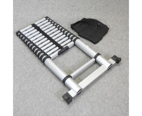 A collapsible aluminium ladder, with bag