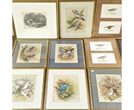 Basil Ede, bird studies, 27 x 21cm, together with others by the same hand and a print of Harwich
