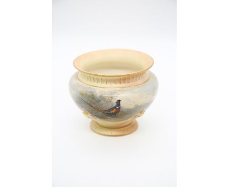 A Royal Worcester blush ivory pot, shape no: 1735, painted with a cock Pheasant within landscape, signed by James Stinton, gi