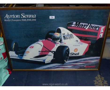 A large framed Autosport print depicting Ayrton Senna World Champion 1988, 1990, and 1991. 34 1/4" x 24 3/4".