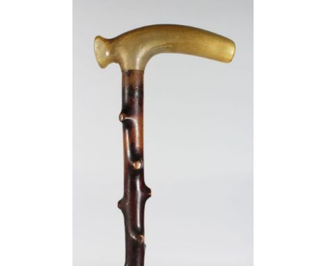 A BRIER WALKING STICK WITH RHINO HANDLE.