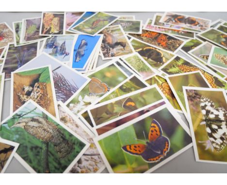 A large collection of cigarette cards including dogs, butterflies, famous MG marques, and many other examples