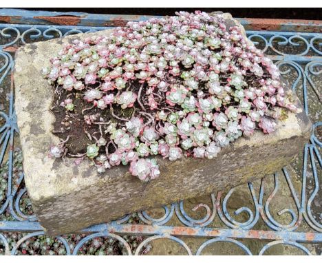 A small Derbyshire gritstone trough 