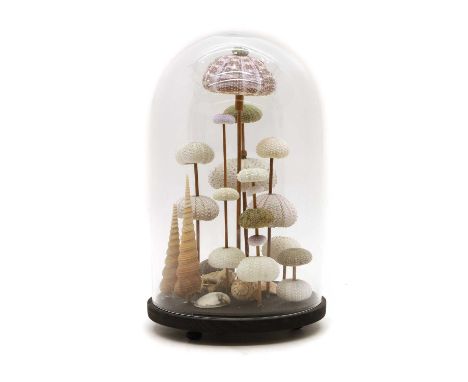 A sea urchin and shell display modern, composed of eight sticks supporting a variety of specimens, over further shell specime