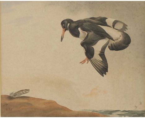 ▴ Richard Barrett Talbot Kelly RI (1896-1971) 'Oystercatcher', with sketch to the reversesigned with a monogram l.l., waterco