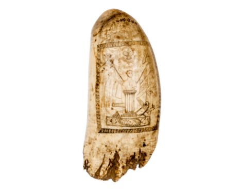 A William IV period scrimshaw engraved whale’s tooth, on one side head and shoulders bust of the king on a Roman column, back