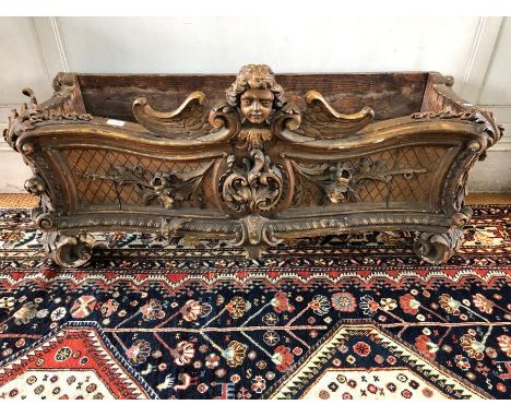 A 19th century carved giltwood planter trough in the rococo style, centred by a winged cherub over a roses in bloom device an