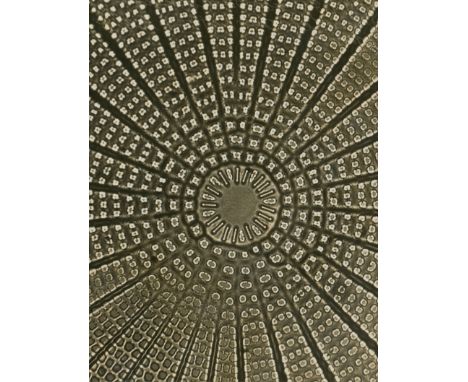 Micro Photography -- Microorganisms (enlarged circa 500 x). 1920s. 36 vintage gelatin silver prints. Most circa 8 x 7 cm. Mou