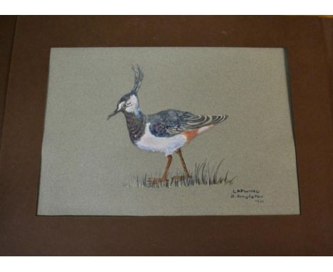 CR Stock after CR Stock  Cock fighting (plates I-IV)  Coloured engravings, together with a collection of approx 16 portrait e
