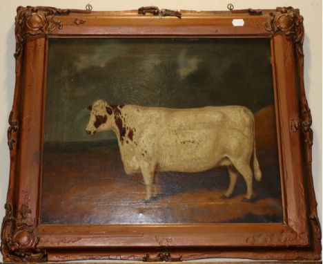 British School (19th century) Portrait of a prize heifer standing in a landscape Inscribed ''Whaley painter'' and dated 1848 