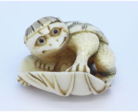 A 19th Century Japanese fine carved ivory netsuke in the form of a stylised turtle on a leaf, black enamel inlay eyes, signed