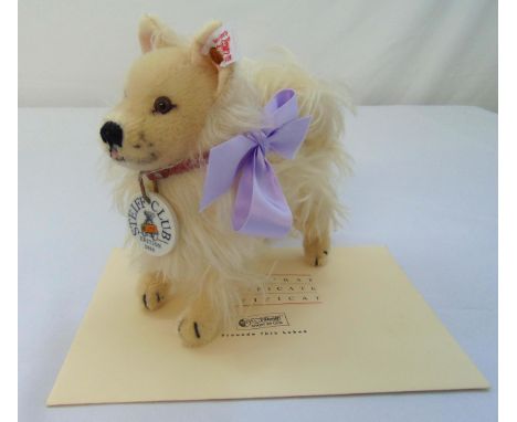 Steiff Club edition 2000 Zwergspitz dog 420207, white tag gold button 03091 to include COA