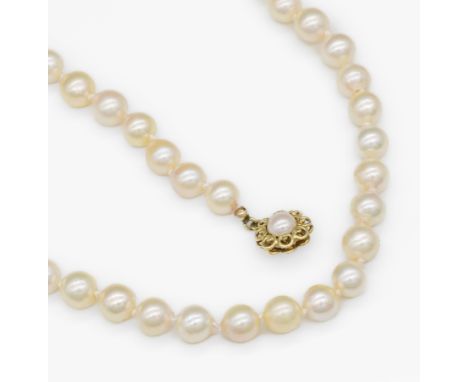Zuchtperlenkette, Schließe 14 kt Gold,   GG 585/000, bes. mit 1 Zuchtperle, 111 champagnerfarb. Zuchtperlen, D. ca. 6.6 mm, L