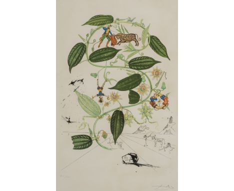 Dalí, SalvadorFigueras, 1904 - Cadaques, 1989Blattgröße: 77 x 58 cm, o. R."Passiflore (Passiflora laurigera)", 1968. Radierun