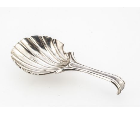 A George III period silver tea caddy spoon by Tudor Leader, 8.4cm long and 10.4g, shell shaped bowl possibly marked Sheffield