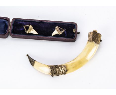 A wild bore mounted tusk, base metal and pin, having coloured monogram MAH, 10.5cm long, together with two shark tooth stick 