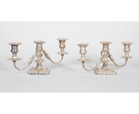 A pair of Victorian Sheffield plated three light candelabra, late 19th century, each of rococo form with reeded S shaped bran