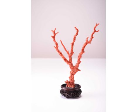 A Chinese coral carving of a prunus tree, Qing DynastyModelled as a tree with three branches flowering with blossom and popul