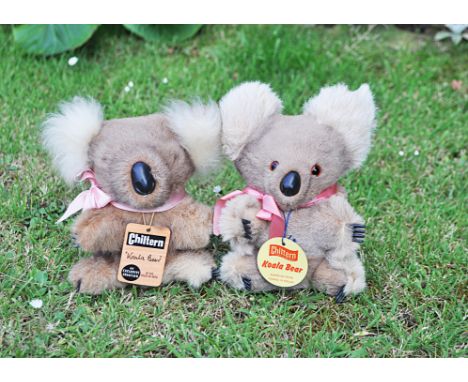 Two Chiltern Australian koala bears 1960s, made from kangaroo fur, one with glass and the other with plastic eyes, plastic no