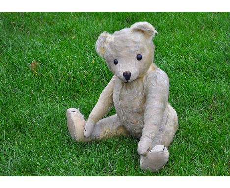 Helmut a 1920s teddy bear, with blonde mohair, boot button eyes, pronounced muzzle, replaced black stitched nose, mouth and c