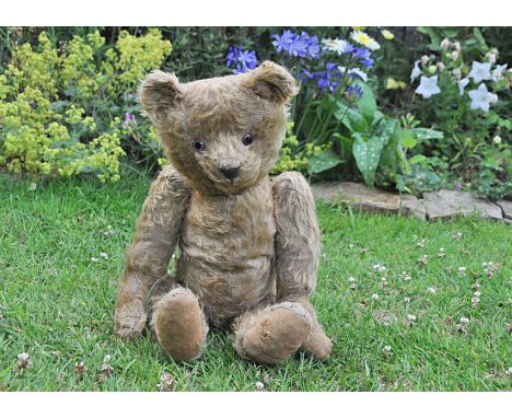 With Love a 1920 30s teddy bear, probably British with light brown mohair, clear and black glass eyes with remains of brown p