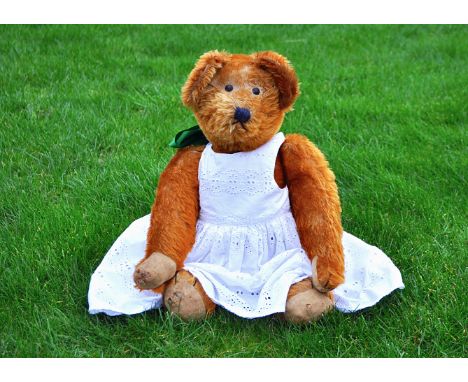 Francine, a cinnamon mohair teddy bear 1920s,   probably French with replaced boot button eyes, pronounced muzzle with black 