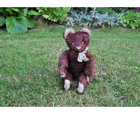 JPM a Jouets Paris Massy teddy bear 1950s,  with brown mohair, light pink and dark pink glass eyes, muzzle with white stitche