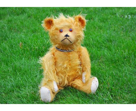 Urchin a 1930s German teddy bear, with long golden mohair, orange and black glass eyes, pronounced muzzle, black stitched nos