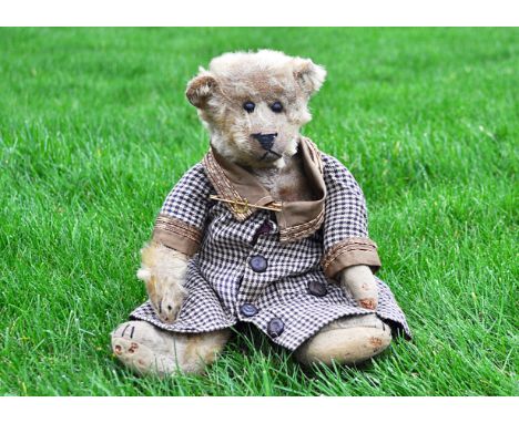 Checkers a Strunz teddy bear circa 1909, with golden mohair, close set black boot button eyes, pronounced muzzle, black stitc