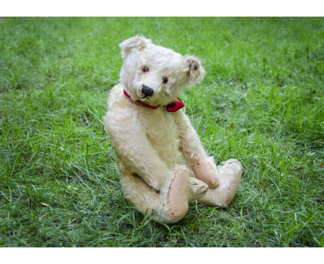 Hans a 1920s Steiff teddy bear,  with golden mohair, brown backed glass eyes, pronounced muzzle, black stitched nose, mouth a