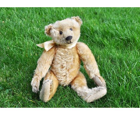 Ambrose an early Steiff teddy bear circa 1907,  with golden mohair, black boot button eyes, pronounced clipped muzzle, black 