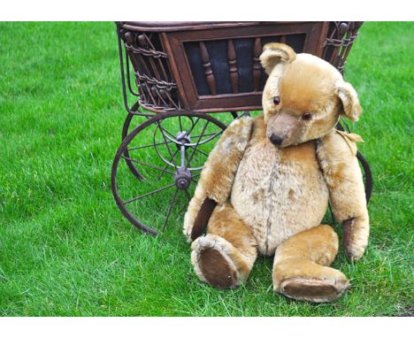 Binker a 1930s Chiltern teddy bear,  with golden mohair, orange and black glass eyes, pronounced clipped muzzle, black stitch