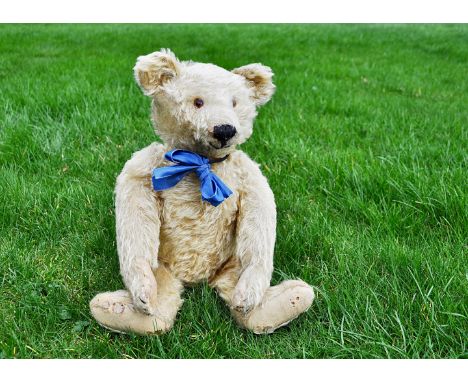 Andy a Steiff teddy bear circa 1920,  with golden mohair, brown backed glass eyes, pronounced muzzle, black stitched nose, mo