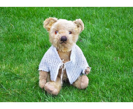 Major M a Merrythought teddy bear 1930s,  with golden mohair, orange and black glass eyes, pronounced muzzle, black stitched 