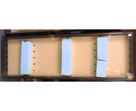 A PICTURE PRIDE MODEL TRAIN GLAZED DISPLAY CASE  containing five adjustable glass shelves, 52cm x 137cm (uniform with the fol