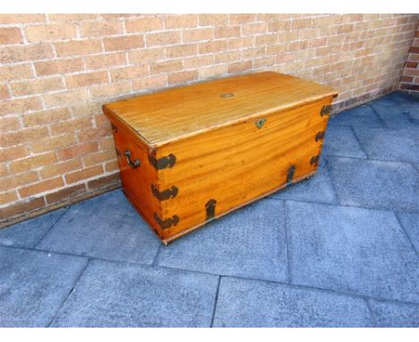 A LARGE BRASS BOUND CAMPHORWOOD TRUNK with a carrying handle to each end, on brass casters, 118cm wide, 57cm deep, 60cm high.